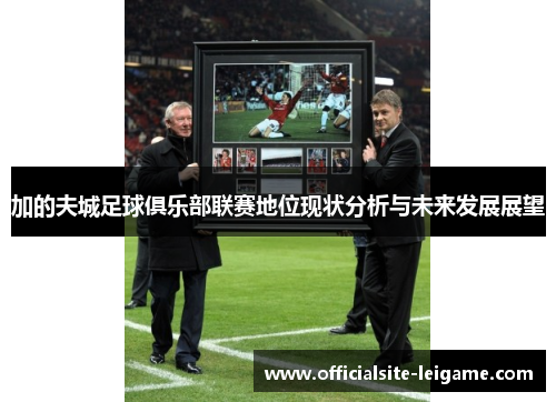 加的夫城足球俱乐部联赛地位现状分析与未来发展展望