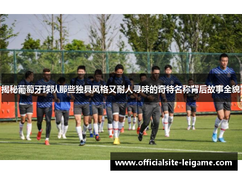 揭秘葡萄牙球队那些独具风格又耐人寻味的奇特名称背后故事全貌